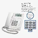 61XrRRK+5sL._AC_SL1500_.webp